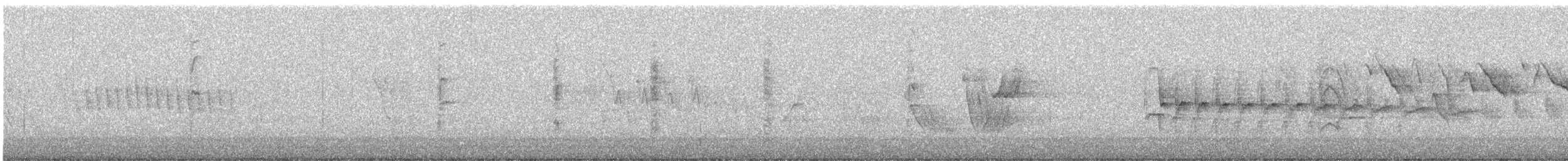 Southern Beardless-Tyrannulet - ML641962990