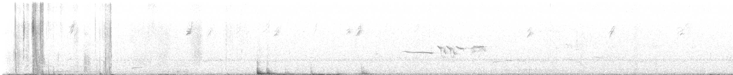 White-crowned Sparrow - ML641963525