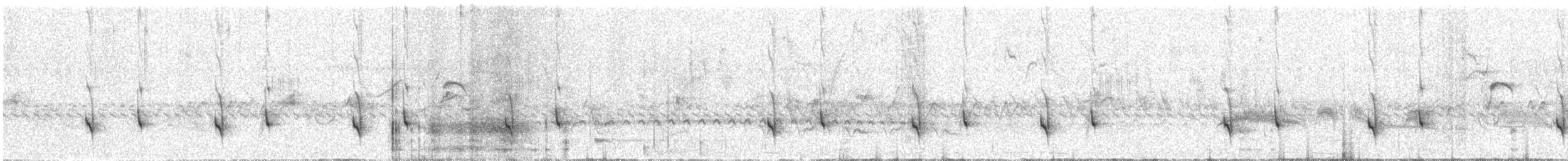Marsh Antwren (Sao Paulo) - ML641964270