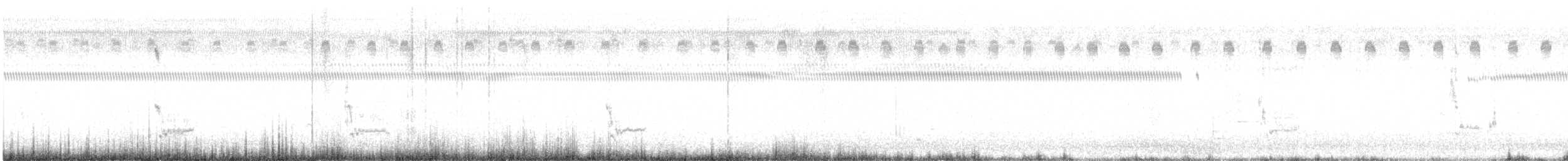 Louisianawürger - ML641964899