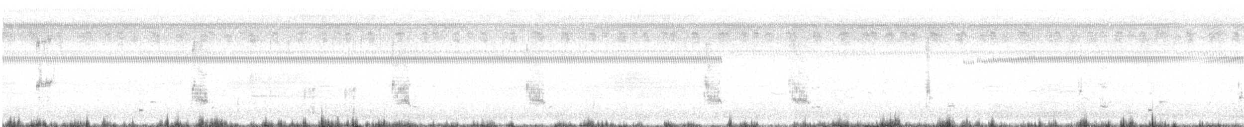 Louisianawürger - ML641964900