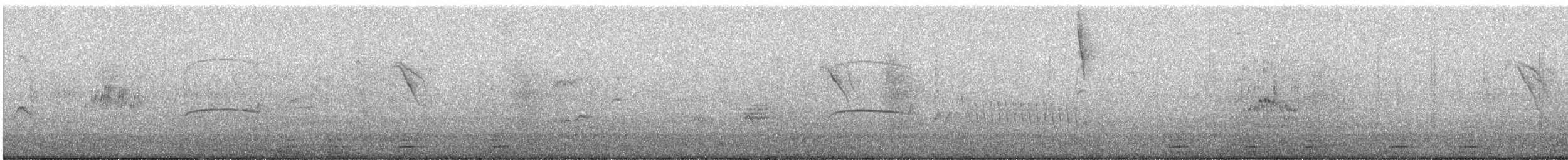 Southern Beardless-Tyrannulet - ML641965999