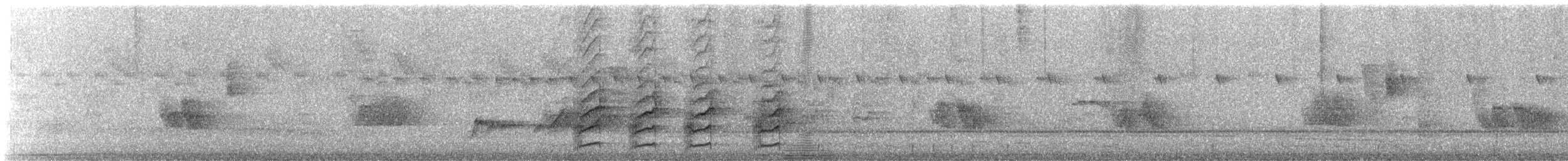 Манакін-вертун білочеревий - ML641966690