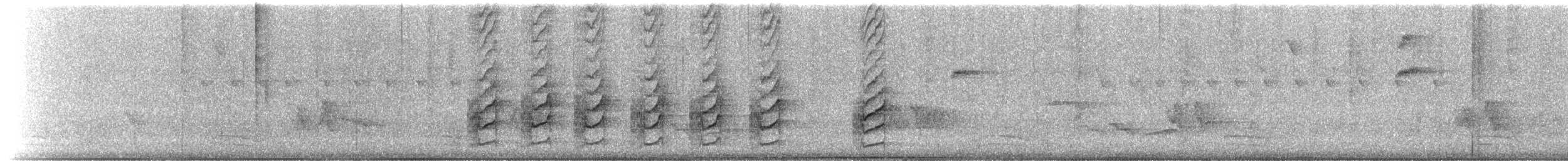 Манакін-вертун білочеревий - ML641966691