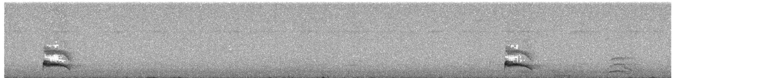 Trauernachtschwalbe - ML641967908