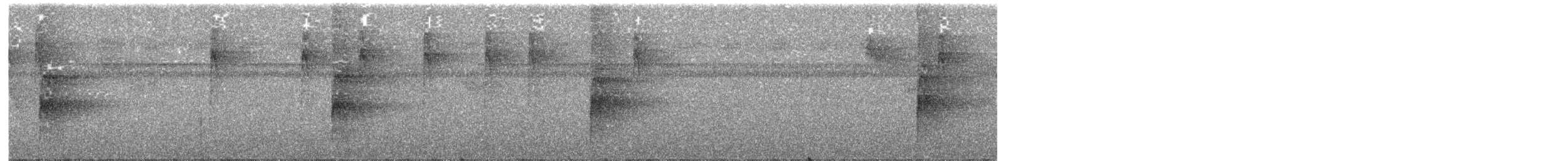 Grauwangen-Baumsteiger - ML641968250