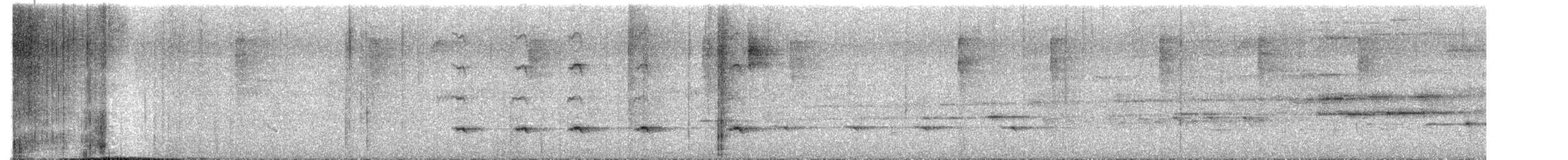 Orta Amerika Bekardı (uropygialis) - ML641968485