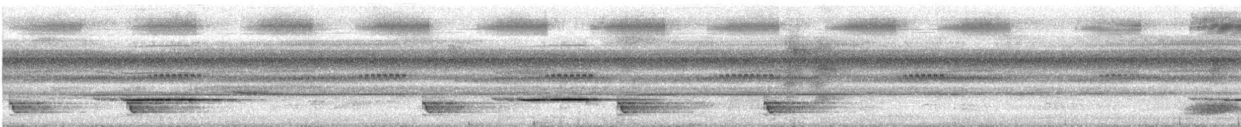 Striped Wren-Babbler - ML641968576