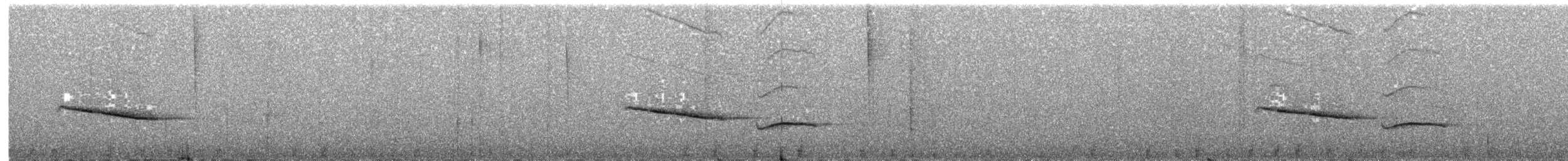 Viréo des tépuis - ML641968610