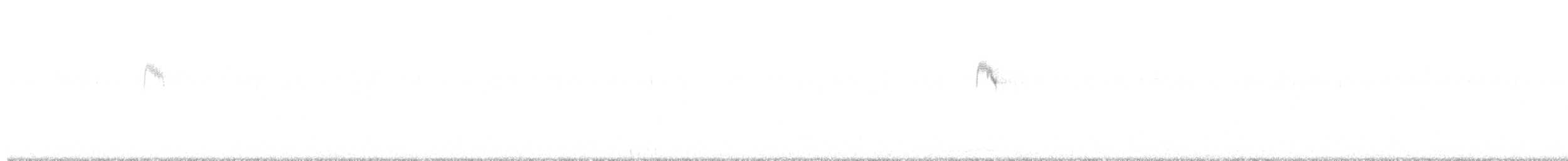 linduška lesní - ML641969384