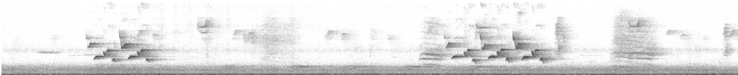 チャバラマユミソサザイ - ML641970281