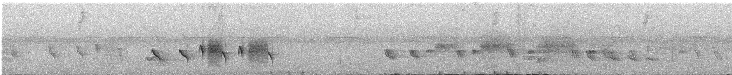 Santa Marta Antbird - ML641971031