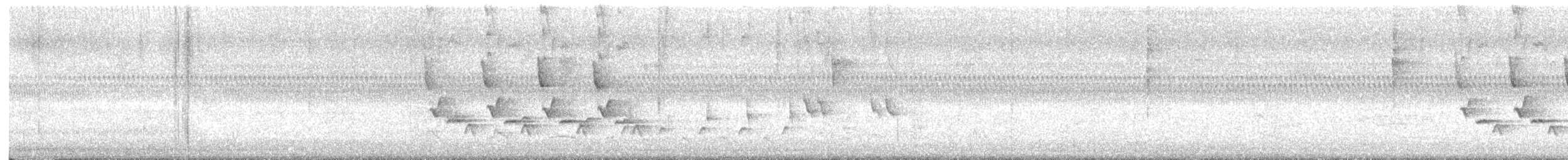 Carolina Wren - ML641972082