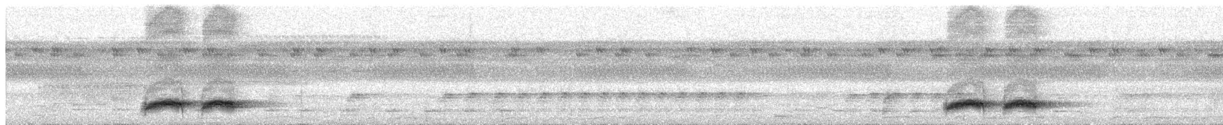 Brève de Biak - ML641972692