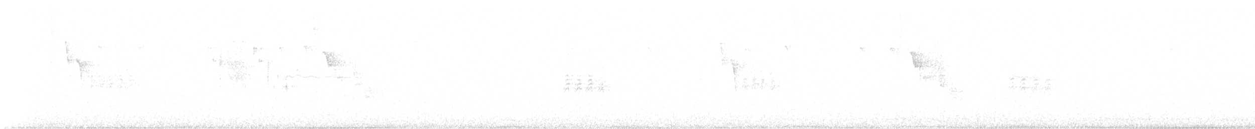 Carbonero de Carolina - ML641973165