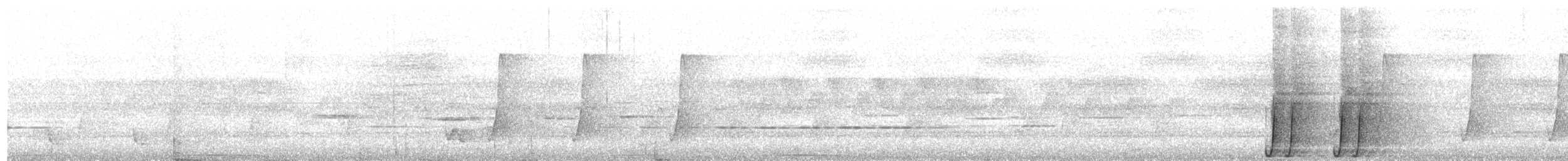 Paradisier fastueux - ML641973845
