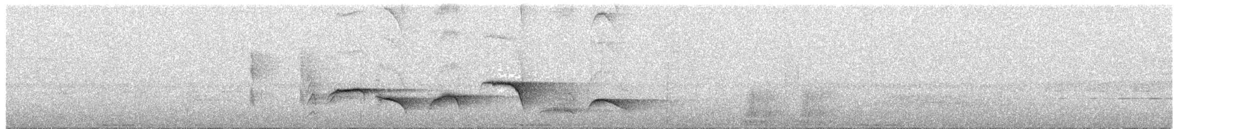 Mottled Berryhunter - ML641974200
