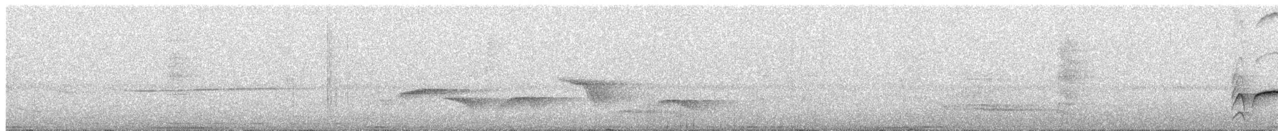 Mottled Berryhunter - ML641974201