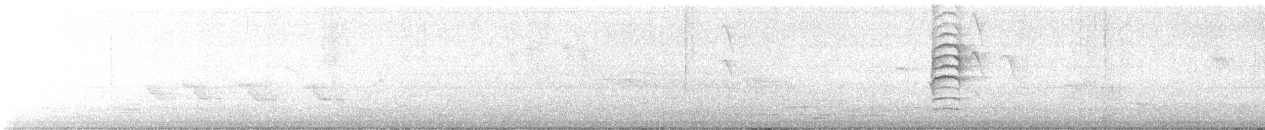 Grünmantel-Bogenflügel - ML641974362