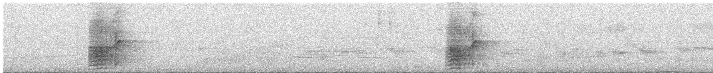 Vogelkop Bowerbird - ML641974370