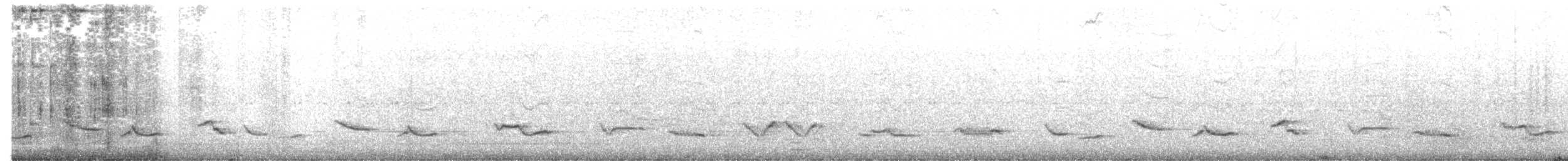 Rufous-bellied Thrush - ML641975040