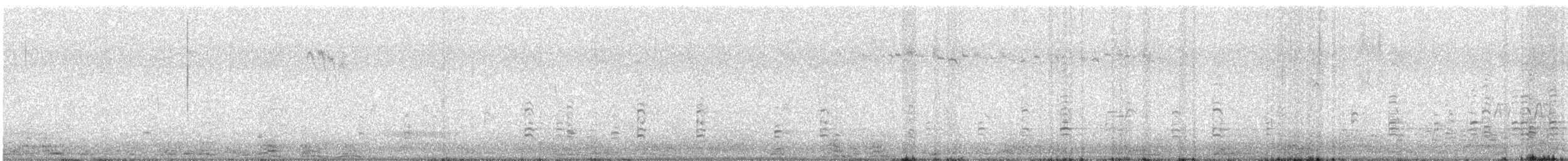 Black-faced Ibis - ML641976378