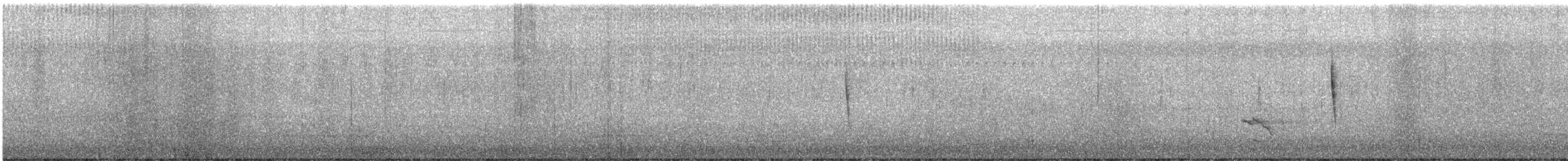 Sedge Wren - ML641977672