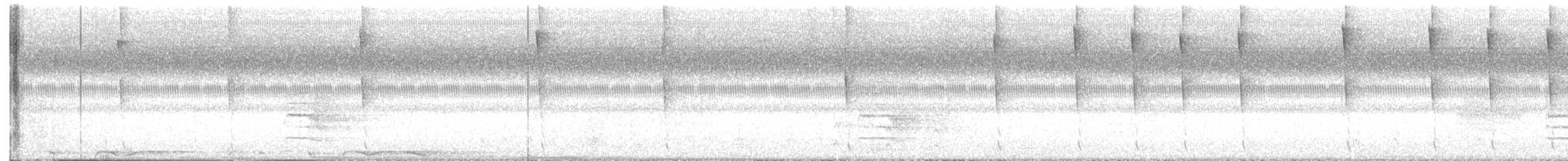 Barred Owl - ML641979664