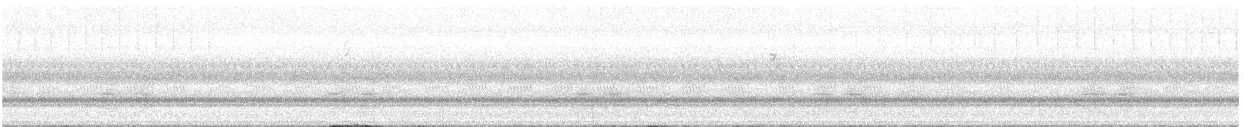 new world warbler sp. - ML641982326