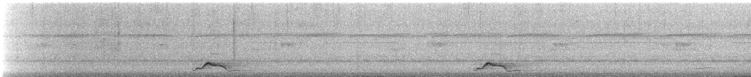 Common Pauraque - ML641982877