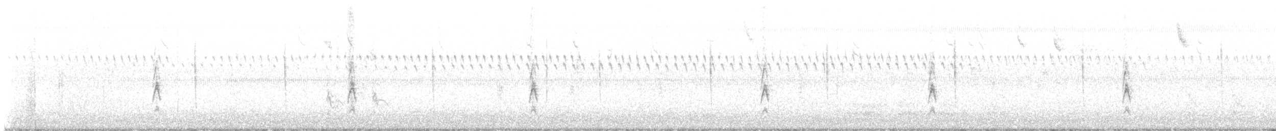 Lincoln's Sparrow - ML641985826