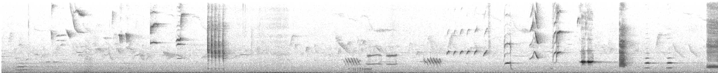 Tui - ML641986275