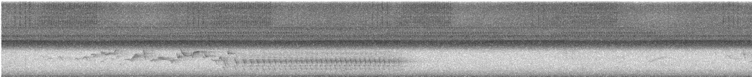 Warbling Vireo (Eastern) - ML641986902