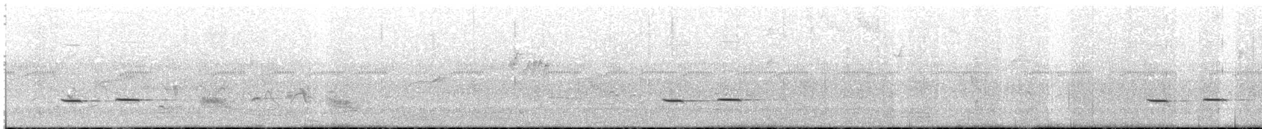 Streifenkuckuck - ML641987022