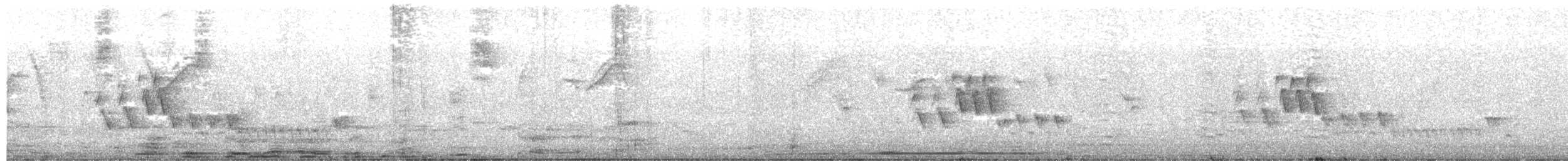Southern House Wren - ML641987472