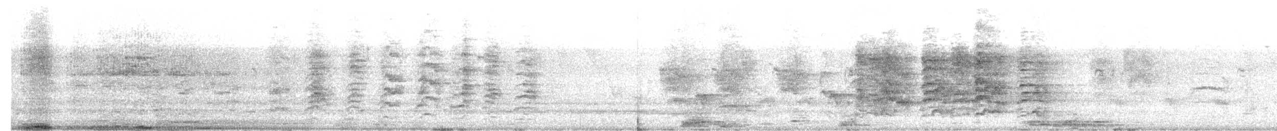 amazonparakitt - ML641987668