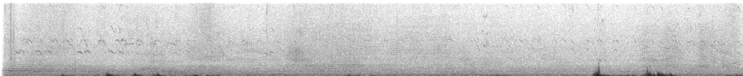 Royal Tern - ML641987851