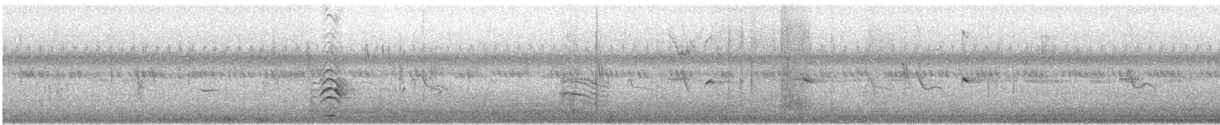 Least Grebe - ML641988233