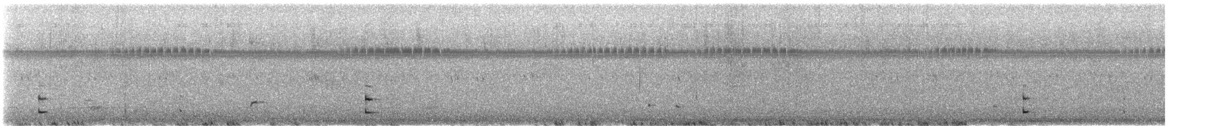 Sora uroilanda - ML641988629