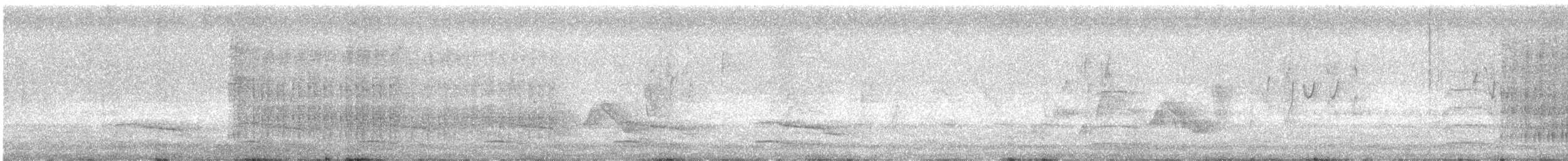Belted Kingfisher - ML641989737