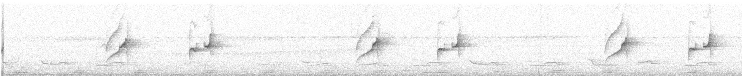 Gray-bellied Spinetail - ML641990071