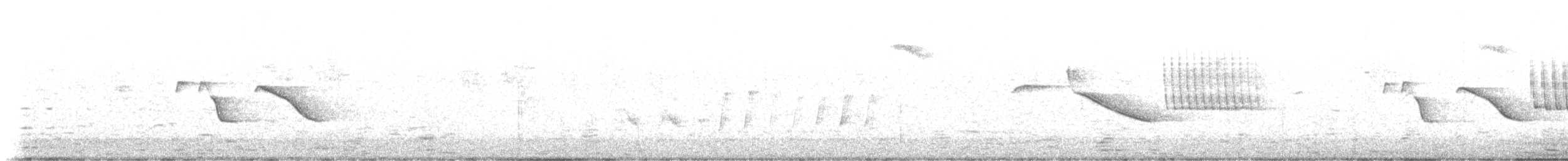 Rufous-collared Sparrow - ML641990351