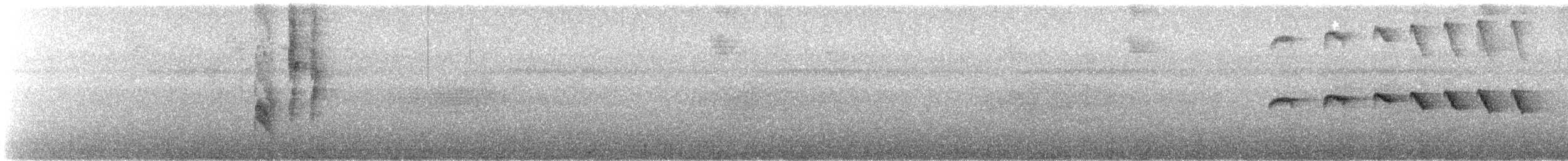 rødøyemaurfugl - ML641991580