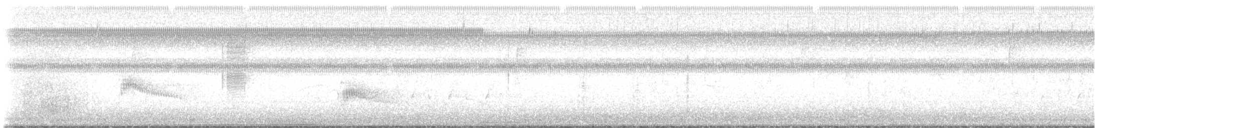 Couch's Kingbird - ML641991865