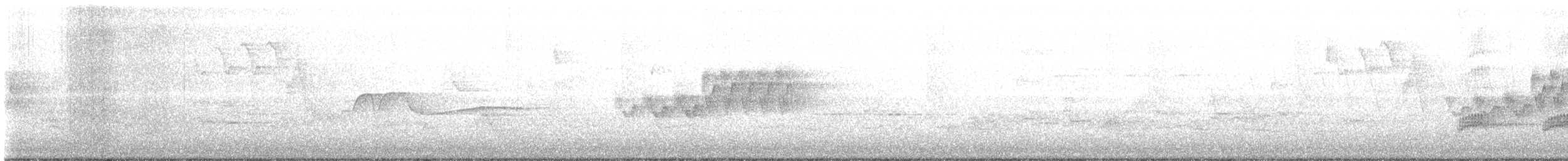 ミズイロアメリカムシクイ - ML641992569