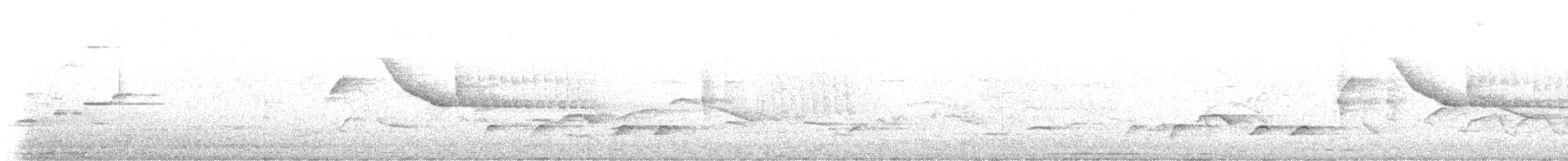 Rufous-collared Sparrow - ML641993104