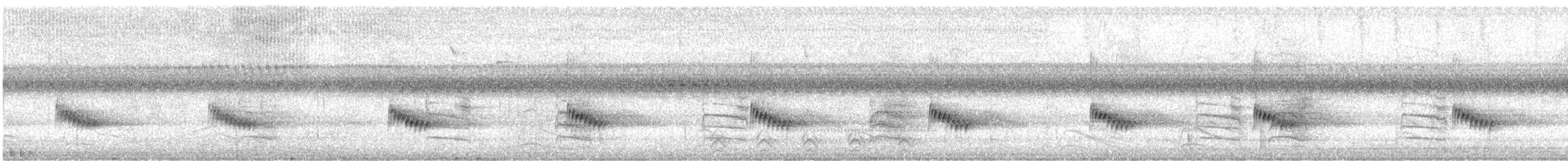 チャバラマユミソサザイ - ML641993504