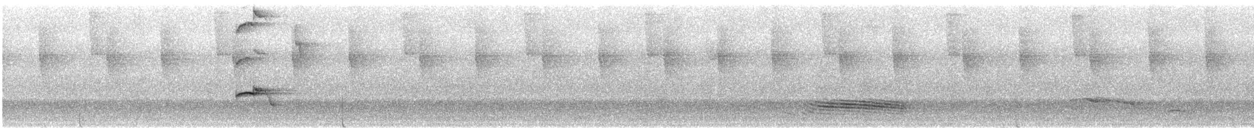 Long-tailed Manakin - ML641993809