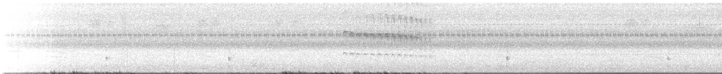 Sora - ML641994491