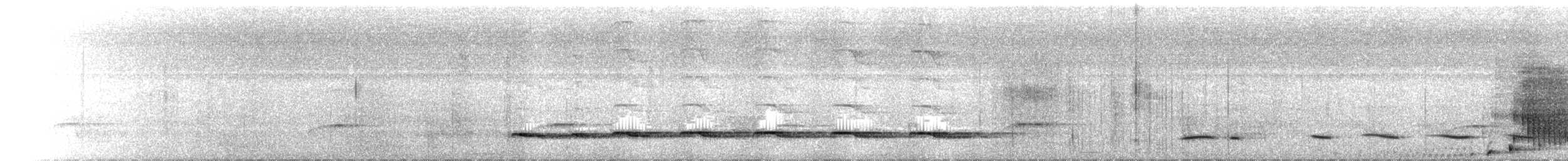 Weißschulter-Ameisenvogel - ML641995803